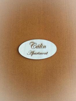 Calin Apartment, Turin (photo 5)