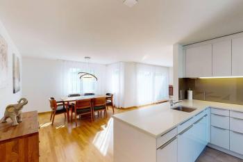 Fantastic Penthouse near Lake - Mainau 14, Zúrich (foto 5)