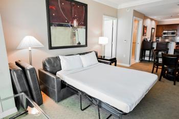 Signature Rental by Owner Direct, Las Vegas (foto 3)
