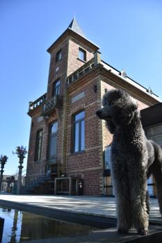 Terp, Poperinge (Foto 3)