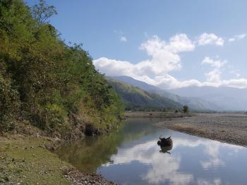 Rea's Bamboo Resort, Gabaldon (photo 4)