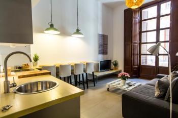 Apartamentos Málaga Picasso, Малага (фото 4)