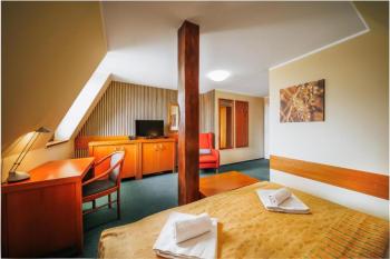 Hotel U Leva, Levoča (fotografie 5)