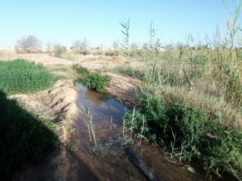 Sagda, Siwa (photo 3)