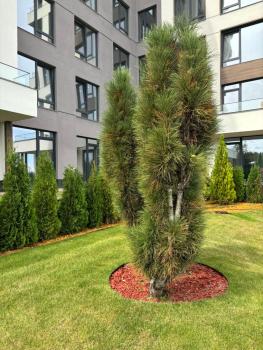 Allegra Sofia Cozy Luxury near Business Park and 10 min to Sofia airport, Sofia (Foto 5)