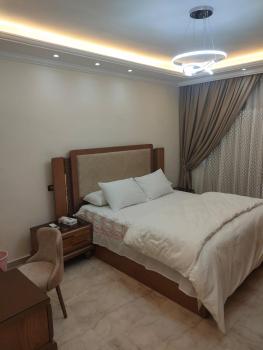 شقة فندقية مطلة على النيل, El Mansurá (foto 5)