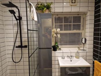 Trinity Cottage 2 bed with mezzanine, Dublin (fotografie 3)