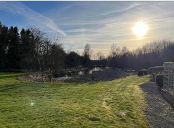 Auszeit im Grünen, Fårvang (Foto 4)