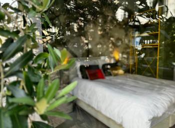 Daen’s Greenhouse, Utrecht (photo 5)