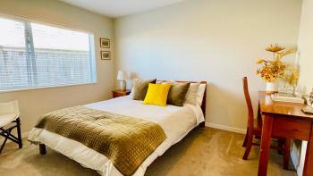 Cozy Home in Central Millwater, Auckland (Foto 2)