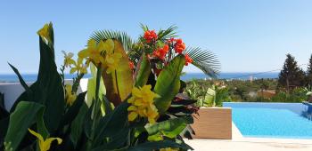 Happyplace Malaga -- Villa with Panoramic Sea View Heated Infinity Saltwater Pool, Málaga (photo 5)