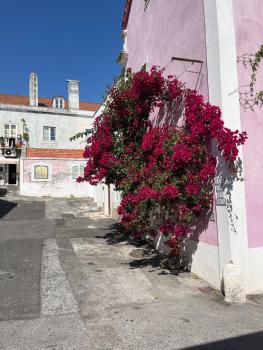 Casa Cor de Rosa, Lisabon (fotografie 4)