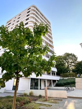 Stadtwohnung mit Garten, Kassel (fotografie 5)