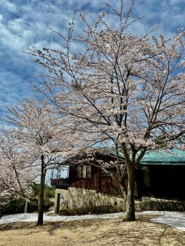 小豆島プライベートキャンプサイト, Šódošima (fotografie 5)
