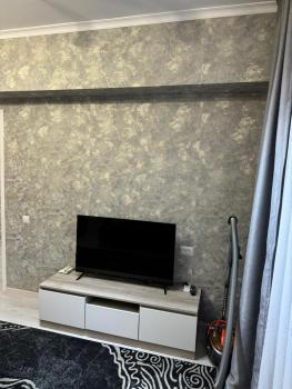 Apartment in Airport, Turksib (fotografie 5)