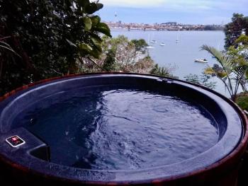 Arohanui Waterfront Villa, Auckland (fotografie 5)