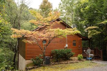 Mountain Seclusion, Sevierville (foto 3)
