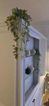 Charmant appartement, Brüssel (Foto 5)