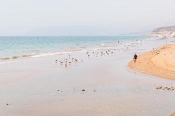 LOCA BEACH, Taghazout (zdjęcie 4)
