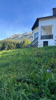 Villa & Spa Plaiul Foii - Sierra Blanca, Zărneşti (Foto 2)