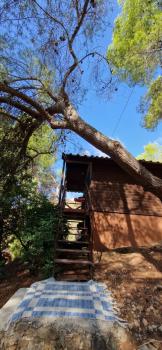 Casa Surrender, Cómpeta (foto 5)