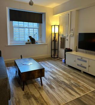 Entire Apartment in Dublin, Дублин (фото 3)