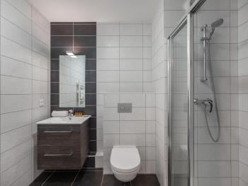 Les 4 Elements - Apt B01 - BO Immobilier- remises sur les forfaits de skis Châtel ou Portes du soleil, Châtel (foto 5)