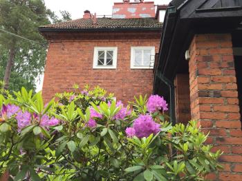 Famous Villa Bertel Jung, Helsinki (photo 2)