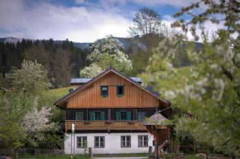 GOLDegg, Goldegg (photo 4)