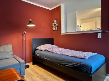 Gemütliche und zentrale Dachwohnung mit Parkplatz und Netflix, Leipzig (foto 4)