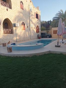 ليالي تونس, Tunis (foto 2)