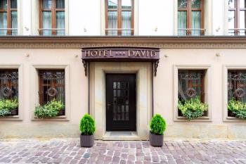 David Boutique ApartHotel, Cracovia (foto 4)