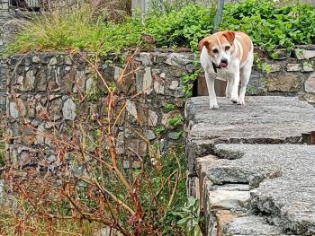 Plan B, Imperia (photo 4)