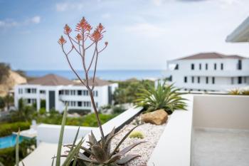 Sandcastles & Sunshine at Blue Bay Resort, Sint Michiel (foto 4)