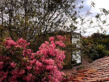 Casa Lloret, Cuenca (photo 4)