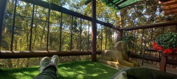 Boresta House -Santa Elena con vista al Bosque y terraza privada, Medellín (foto 2)