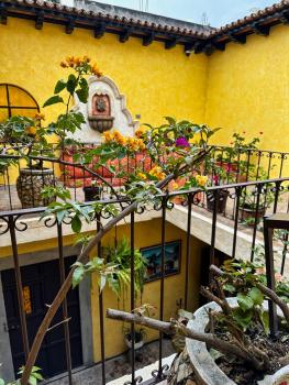 Maison Bougainvillea, Antigua Guatemala (foto 2)