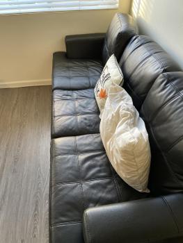 Cozy spot in Koreatown, Los Angeles (fotografie 2)