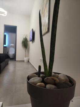 Apartament Tirana Contact, Tirana (photo 2)