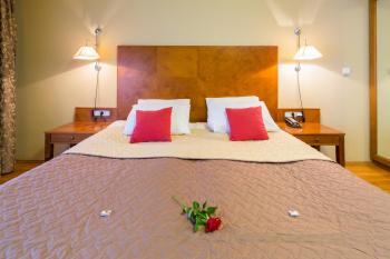 The Golden Wheel Hotel, Praga (foto 3)