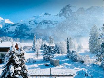 Cute & cozy oasis, private afternoon sun terrace, Kandersteg (foto 5)