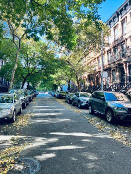 Harlem Grand, New York (photo 5)
