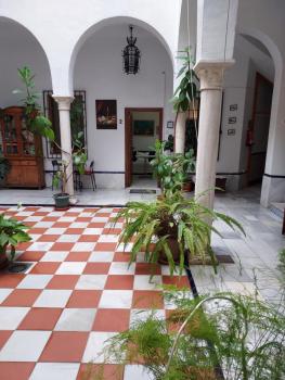 Patio Sevillano Flores, Sevilla (fotografie 3)