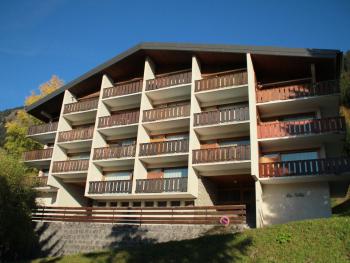 Appt. central à Châtel - Parking, WIFI, Animaux admis, 4 pers. - FR-1-198-176, Châtel (Foto 3)