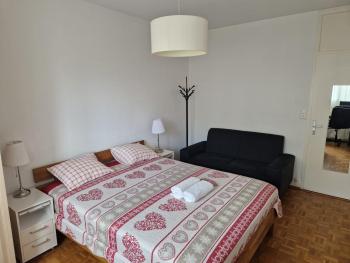 Room in Shared Apartment Geneva, Ginebra (foto 5)