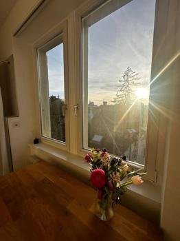 New tiny studio 2 near Uni & Hospital, Basilea (foto 4)