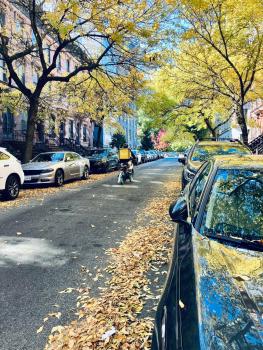 Harlem Grand, New York (photo 3)