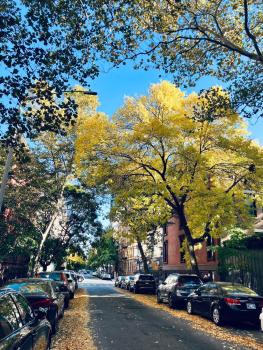 Harlem Grand, New York (photo 2)