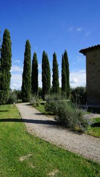 Mormoraia, San Gimignano (fotografie 5)