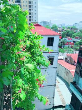 MAY - AMAYZING CITY View, Hanoi (zdjęcie 5)